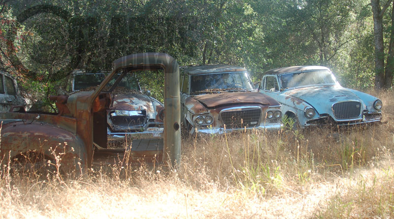 Edição 81: Studebaker Family