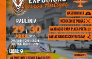 Encontro Anual Sociedade V8 & Carros Antigos - Paulínia/SP